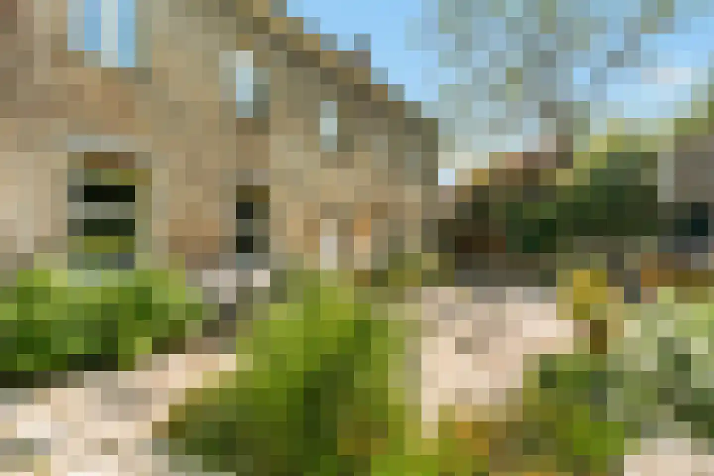 Martenslindestraat 21 Maastricht thumbnail 5