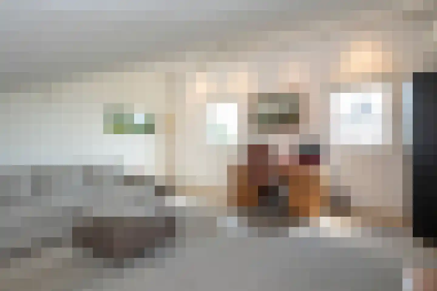 Martenslindestraat 5 Maastricht thumbnail 42