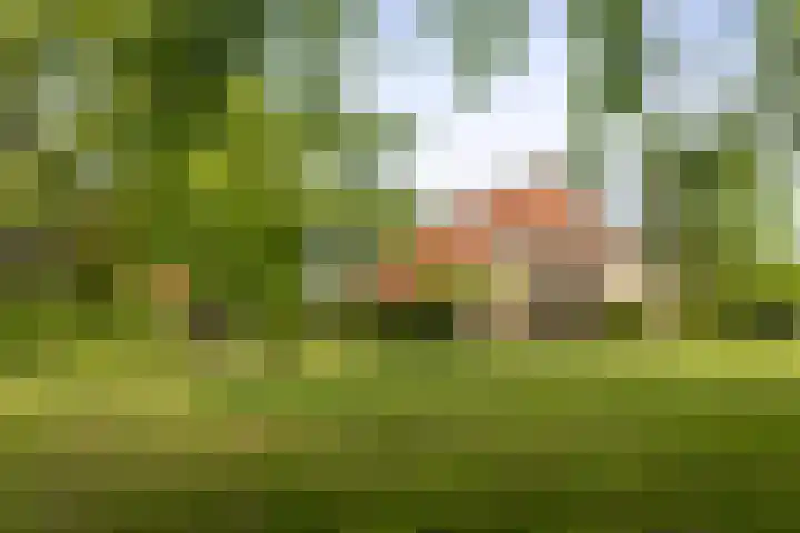 Martensmaat 1 en Ruurlo