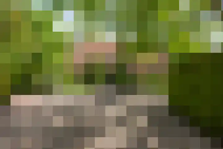Martensmaat 1 Ruurlo thumbnail 33
