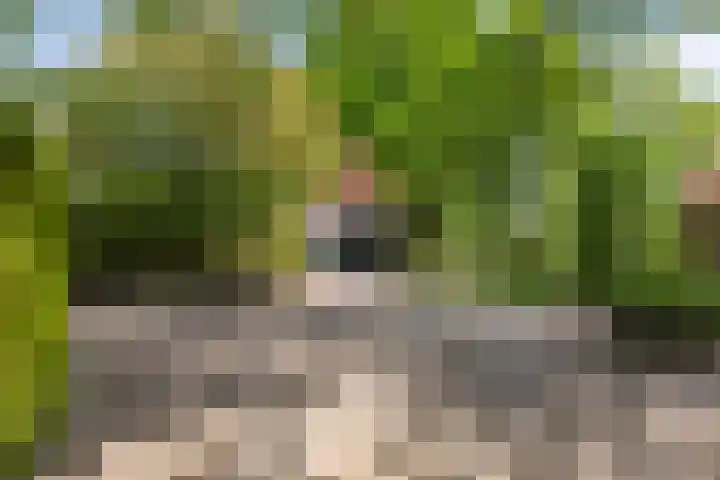 Martensmaat 1 Ruurlo thumbnail 34