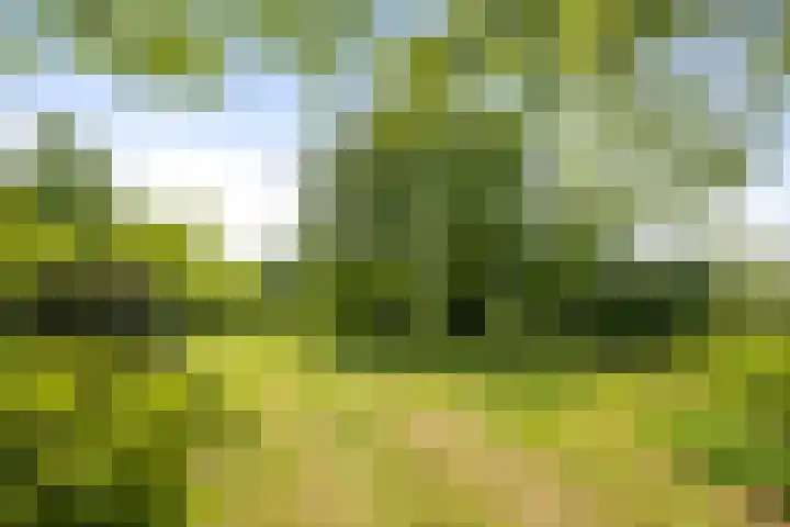 Martensmaat 1 Ruurlo thumbnail 36