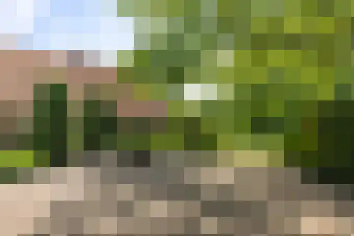 Martensmaat 1 Ruurlo thumbnail 37