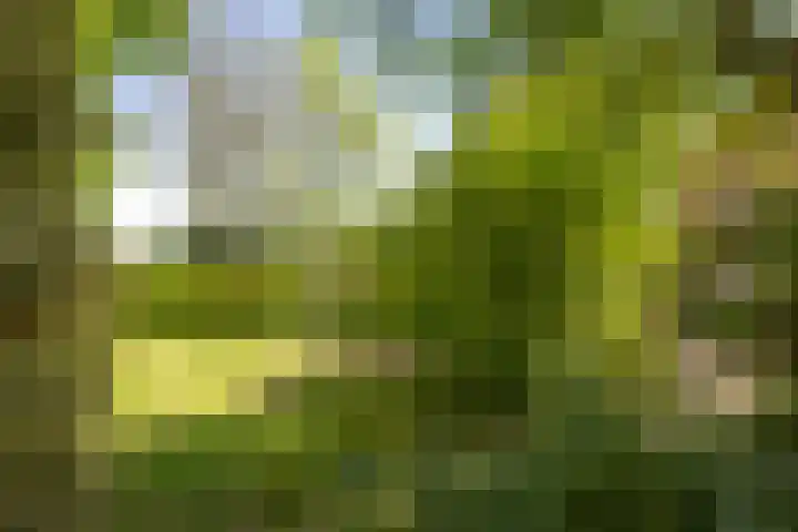 Martensmaat 1 Ruurlo thumbnail 38