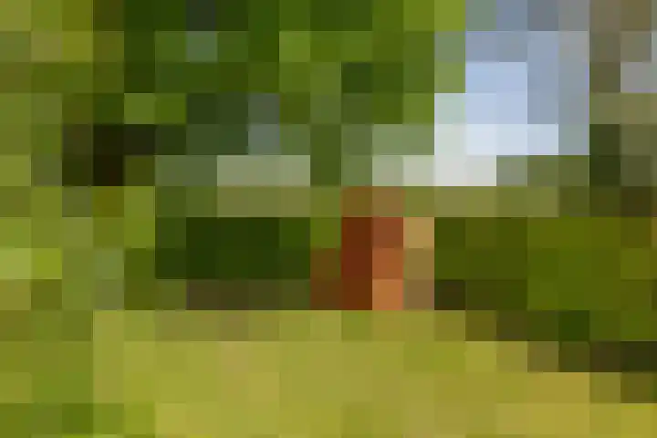 Martensmaat 1 Ruurlo thumbnail 39