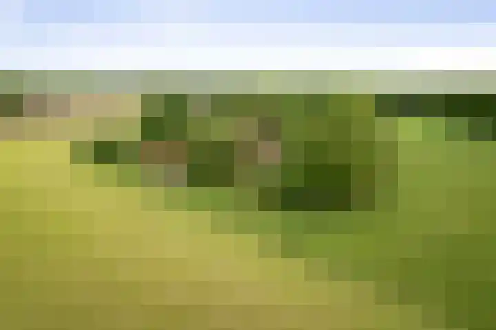 Martensmaat 1 Ruurlo thumbnail 4
