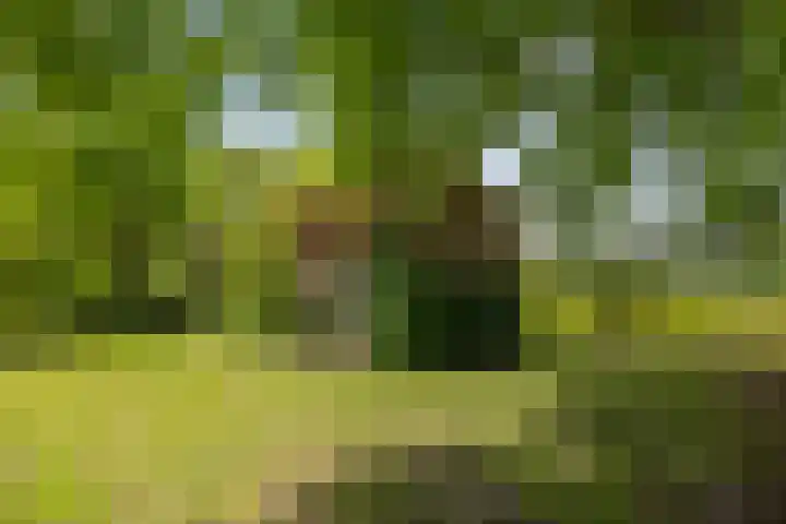 Martensmaat 1 Ruurlo thumbnail 40