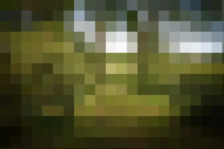 Martensmaat 1 Ruurlo thumbnail 41