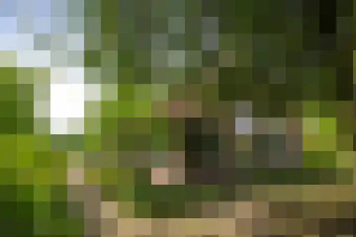 Martensmaat 1 Ruurlo thumbnail 42