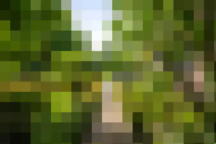 Martensmaat 1 Ruurlo thumbnail 43