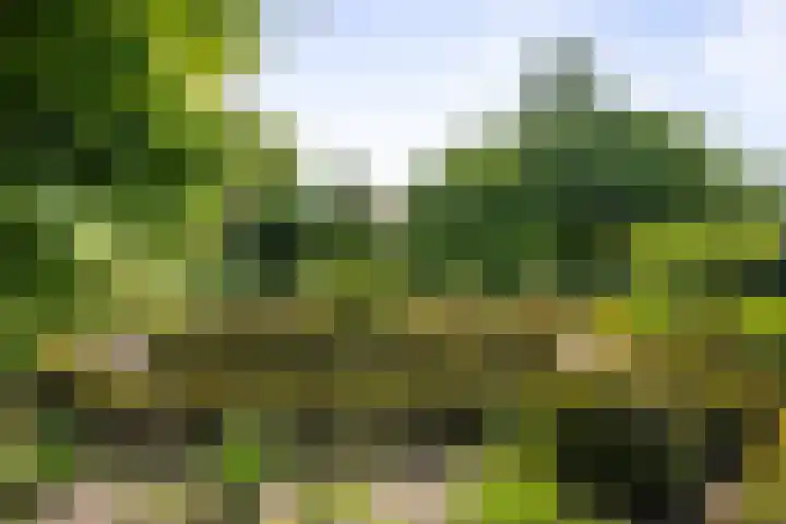 Martensmaat 1 Ruurlo thumbnail 44