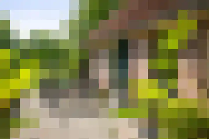 Martensmaat 1 Ruurlo thumbnail 45