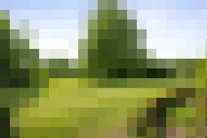 Martensmaat 1 Ruurlo thumbnail 46