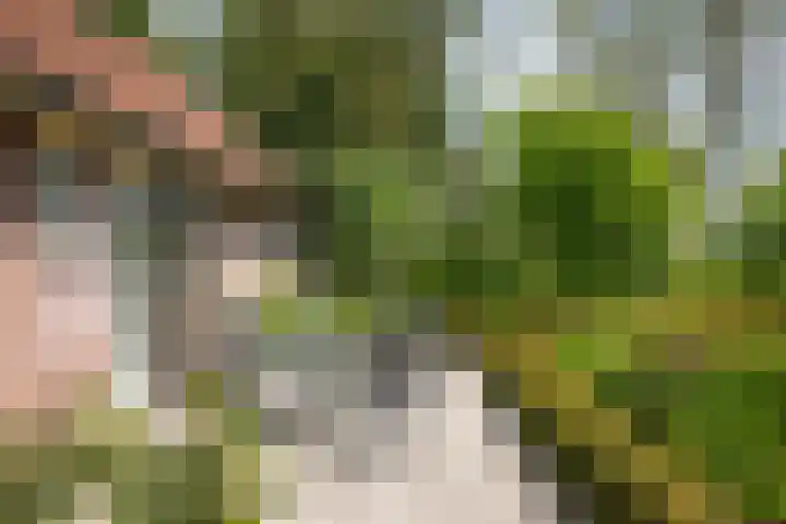 Martensmaat 1 Ruurlo thumbnail 47