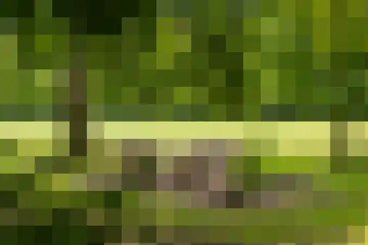 Martensmaat 1 Ruurlo thumbnail 48