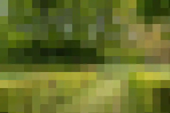 Martensmaat 1 Ruurlo thumbnail 49