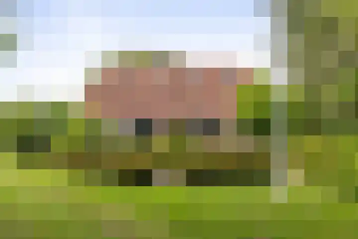 Martensmaat 1 Ruurlo thumbnail 5