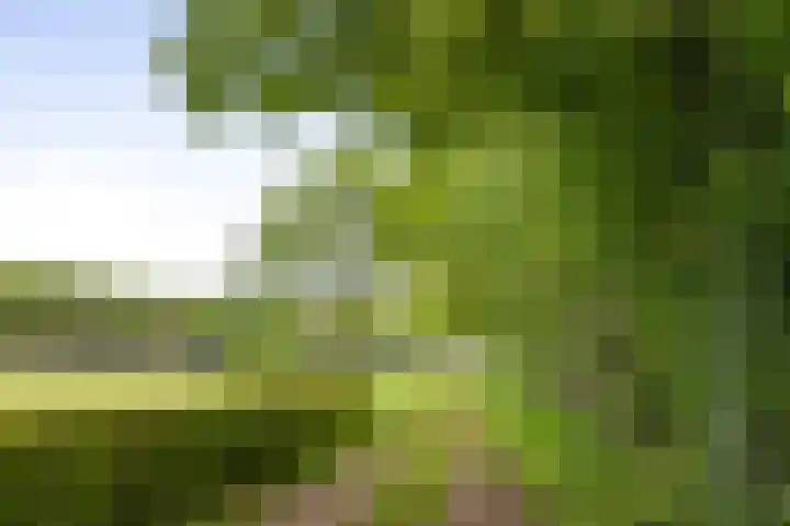 Martensmaat 1 Ruurlo thumbnail 50