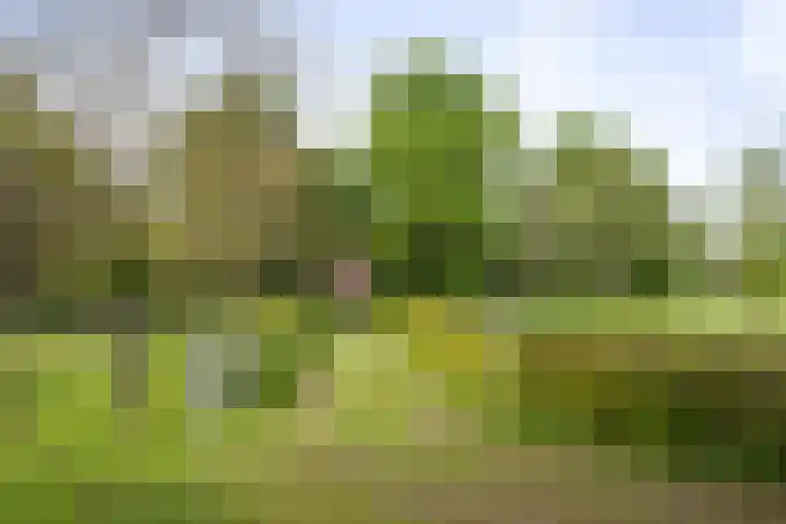 Martensmaat 1 Ruurlo thumbnail 51