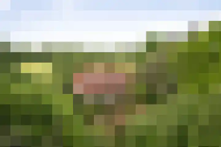 Martensmaat 1 Ruurlo thumbnail 52