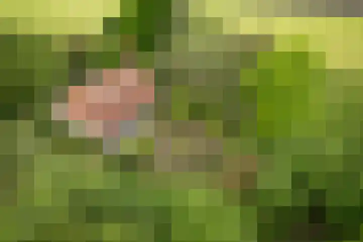 Martensmaat 1 Ruurlo thumbnail 53