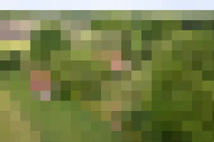 Martensmaat 1 Ruurlo thumbnail 54