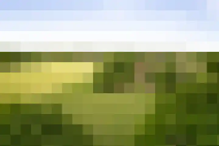 Martensmaat 1 Ruurlo thumbnail 55
