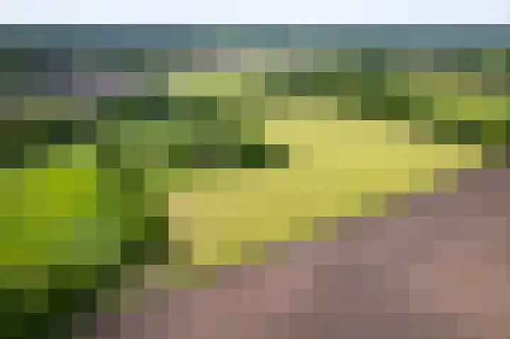 Martensmaat 1 Ruurlo thumbnail 56