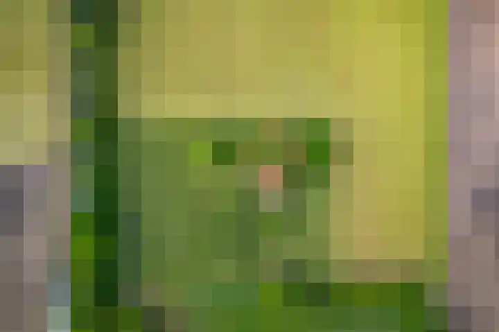 Martensmaat 1 Ruurlo thumbnail 57
