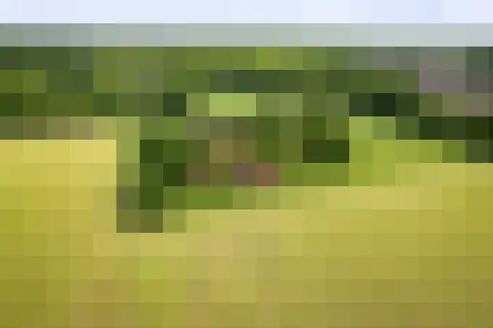 Martensmaat 1 Ruurlo thumbnail 6