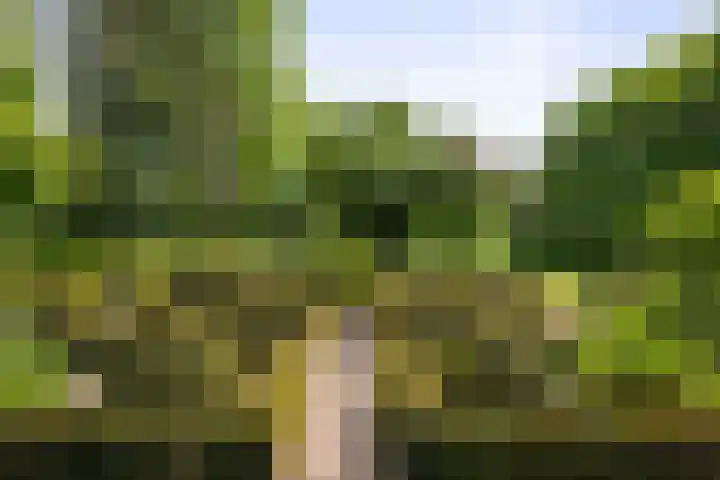 Martensmaat 1 Ruurlo thumbnail 7