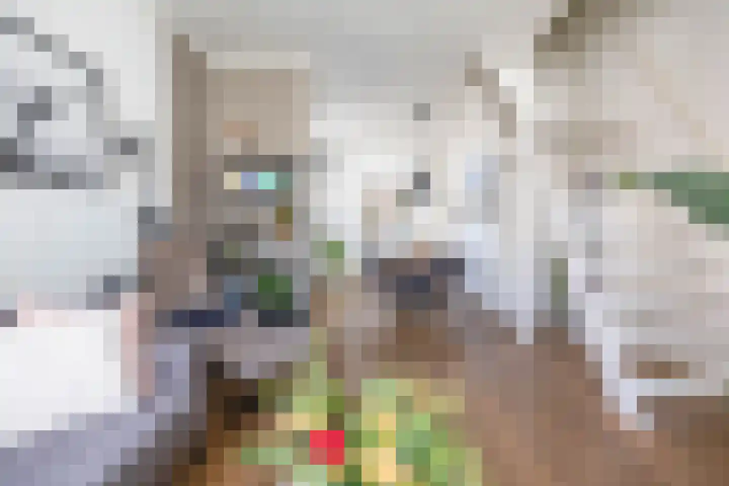 Martenstraat 37 Groningen thumbnail 14