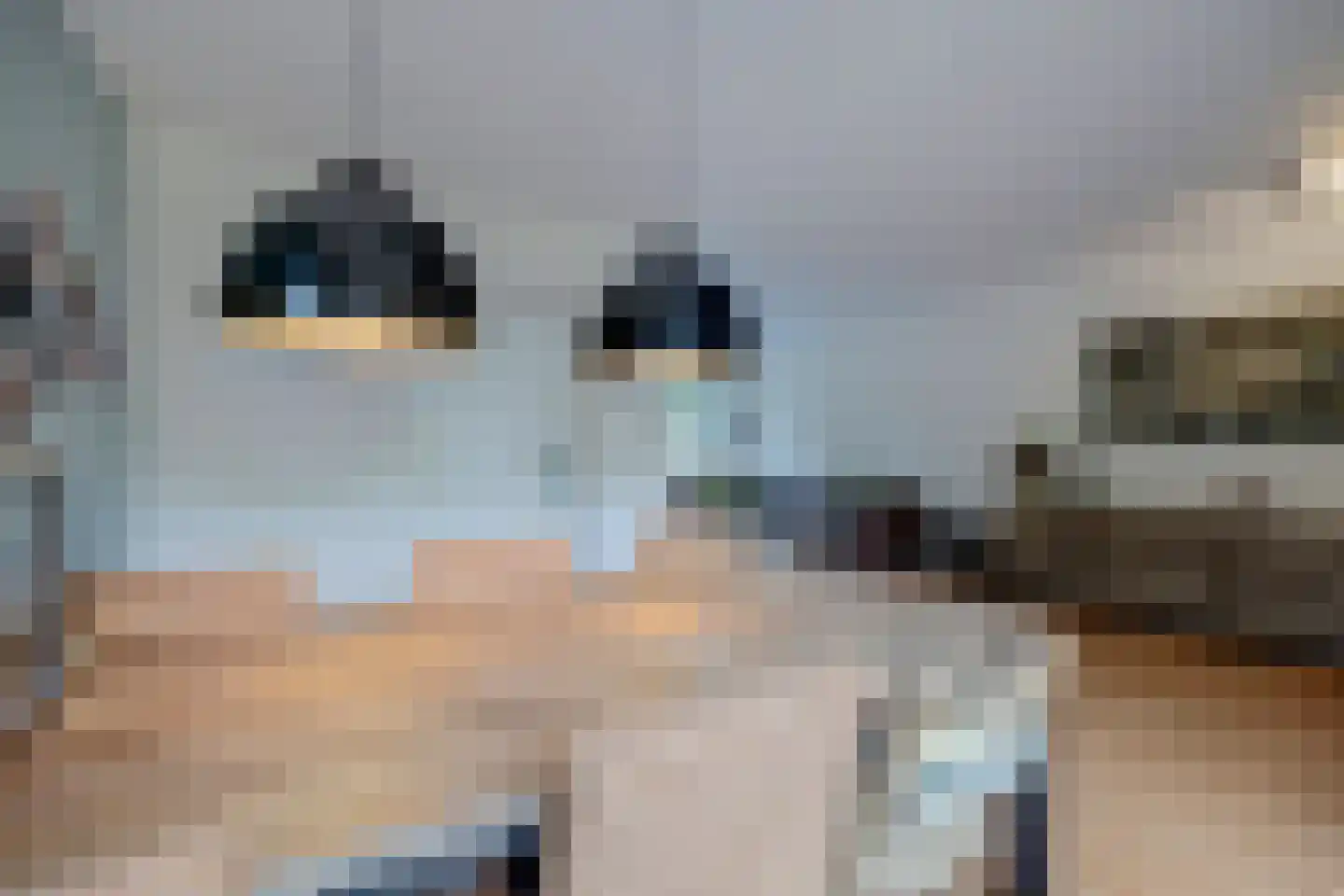 Martensweg 20 Nunspeet thumbnail 14