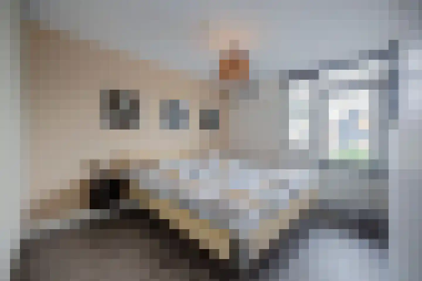 Martensweg 20 Nunspeet thumbnail 20