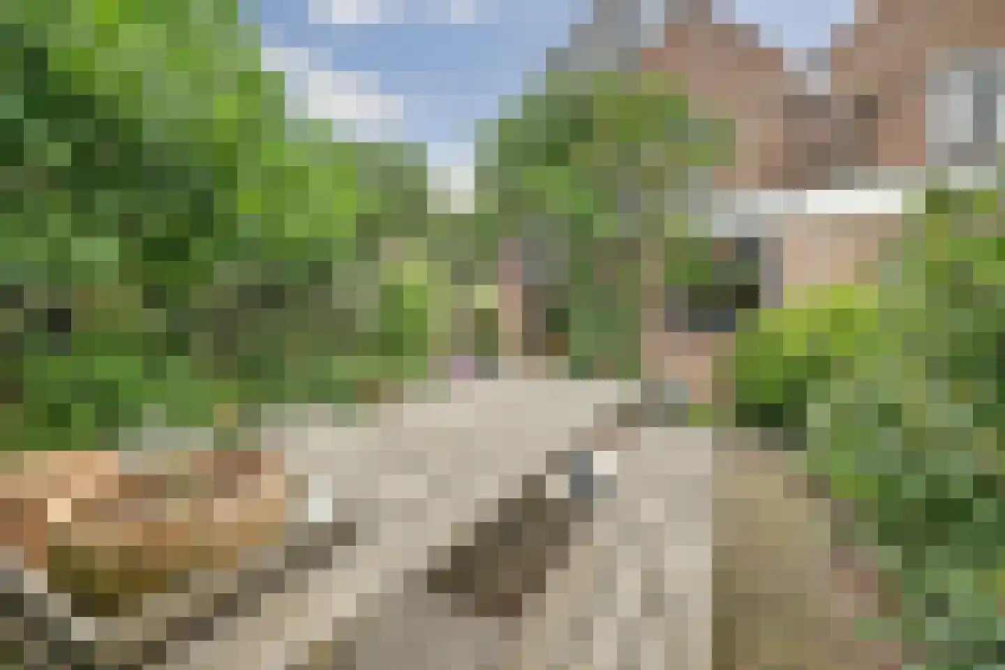 Martensweg 20 Nunspeet thumbnail 31