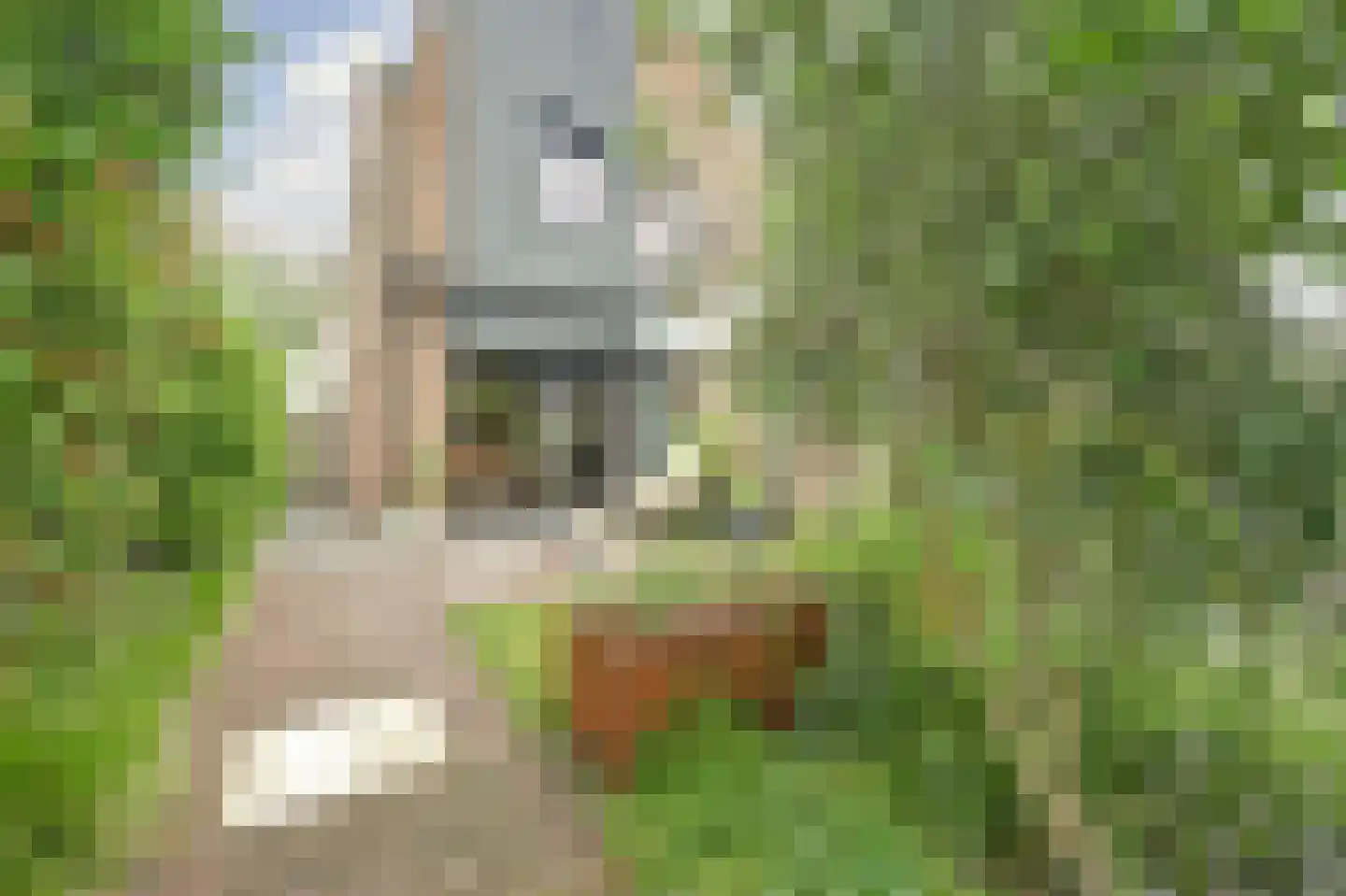 Martensweg 20 Nunspeet thumbnail 4