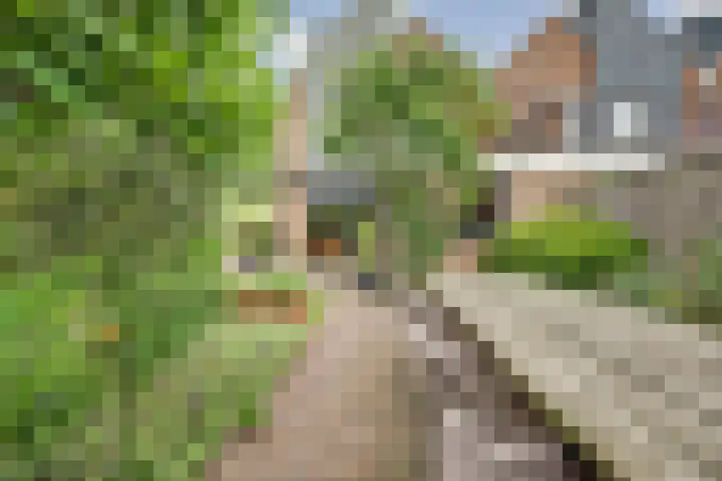 Martensweg 20 Nunspeet thumbnail 6
