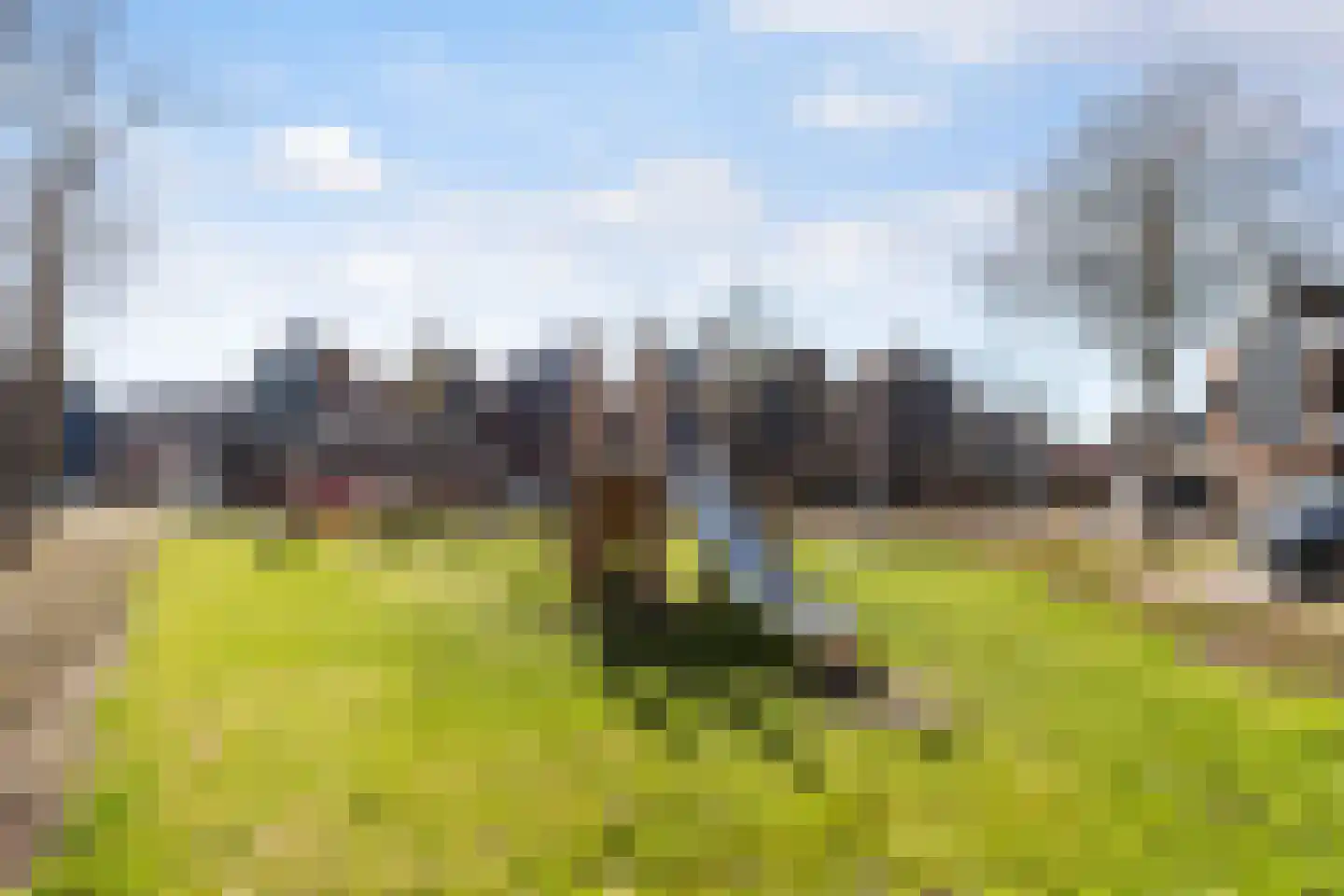 Martensweg 32 Nunspeet thumbnail 46
