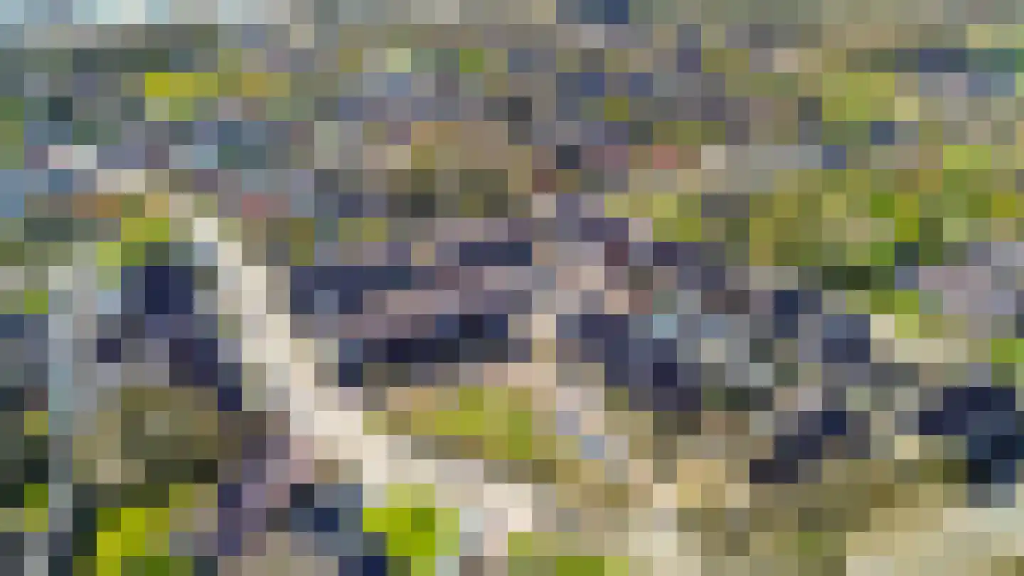 Martensweg 32 Nunspeet thumbnail 6