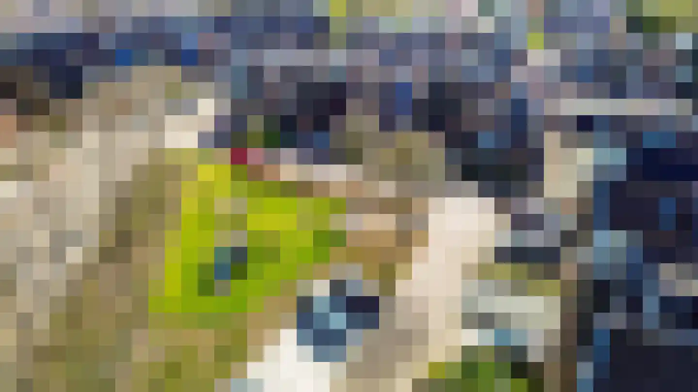 Martensweg 32 Nunspeet thumbnail 8