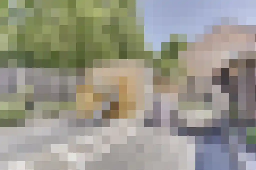 Martensweg 35 Nunspeet thumbnail 33