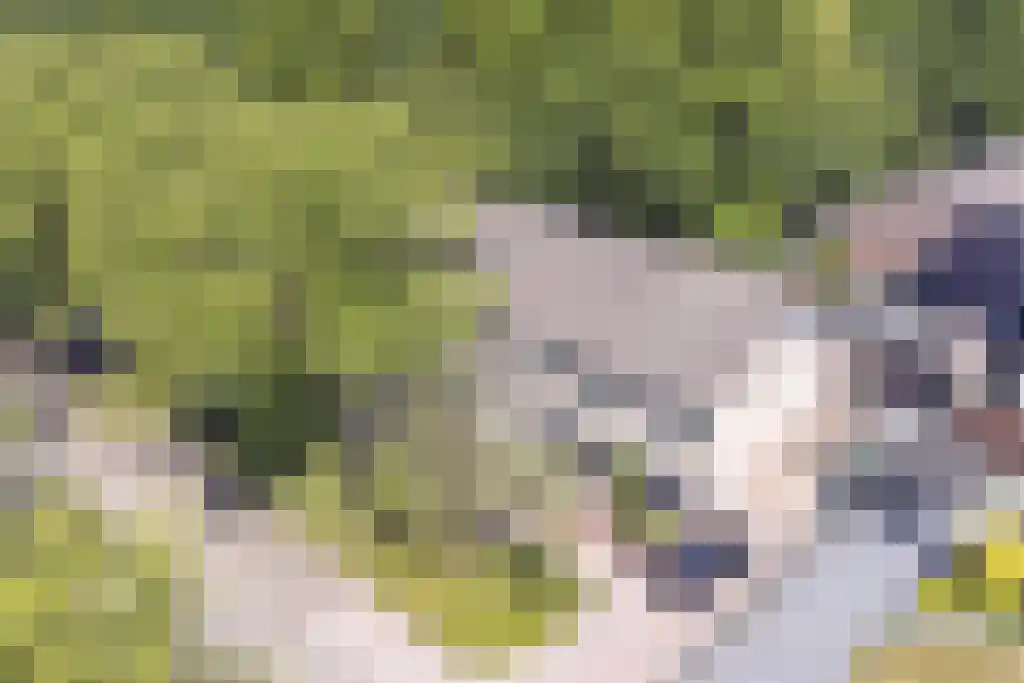 Martensweg 35 Nunspeet thumbnail 36