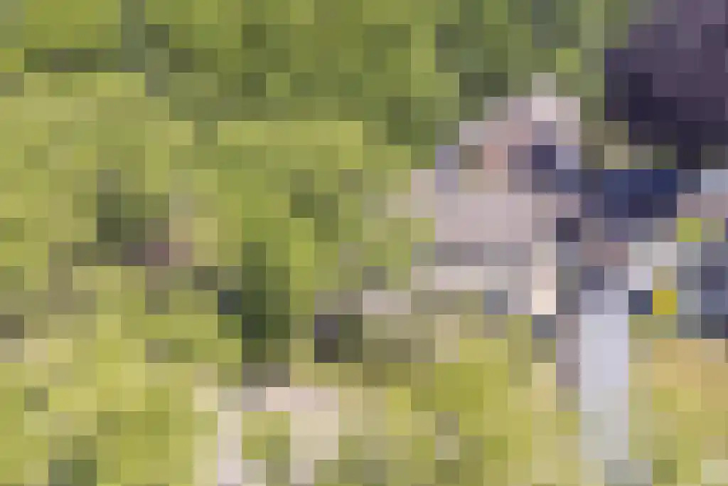 Martensweg 35 Nunspeet thumbnail 37