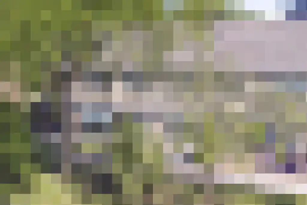 Martensweg 35 Nunspeet thumbnail 38