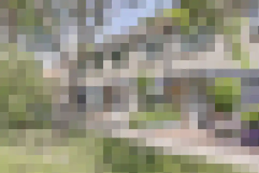 Martensweg 35 Nunspeet thumbnail 5