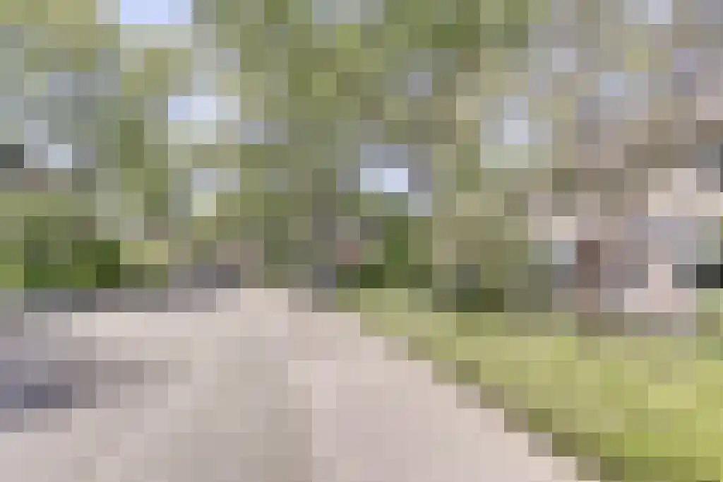 Martensweg 35 Nunspeet thumbnail 7