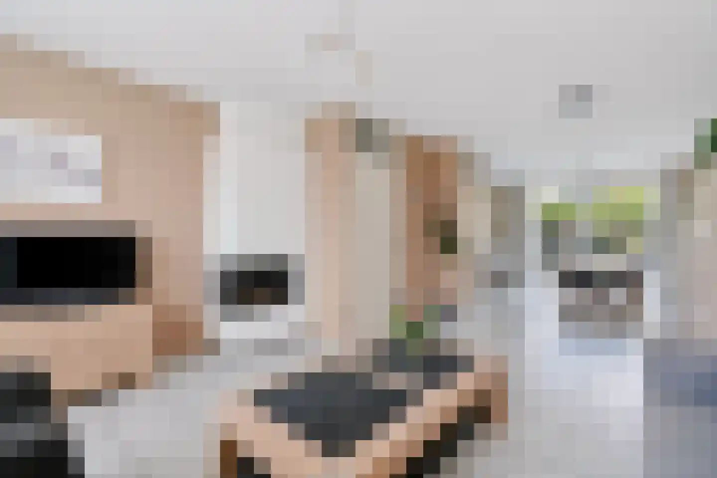 Marter 13 Veldhoven thumbnail 11