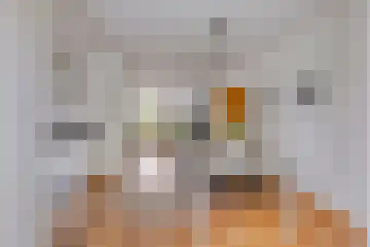 Marter 15 Veldhoven thumbnail 10
