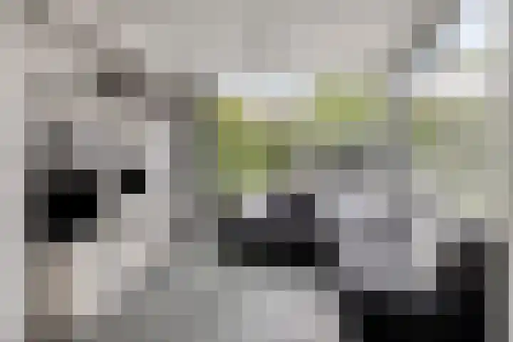 Marter 15 Veldhoven thumbnail 11