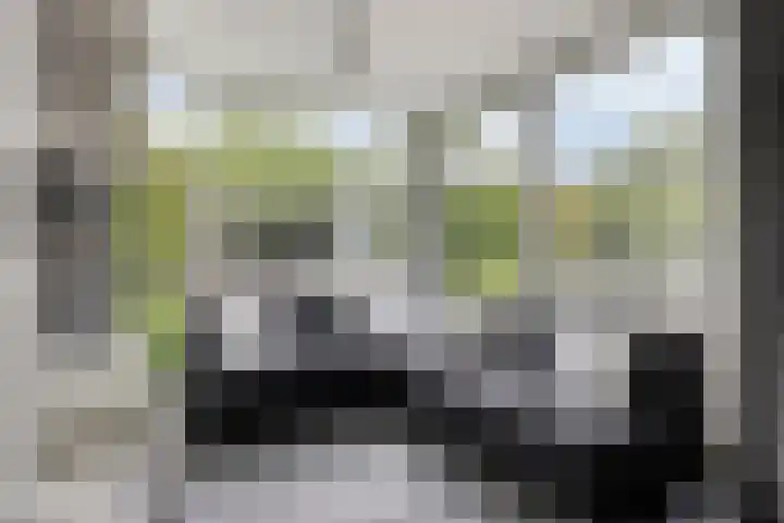 Marter 15 Veldhoven thumbnail 12